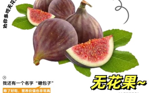 女性脸上长湿疹的原因-面部湿疹的症状图片-专业面部湿疹的症状图片和治疗平台-怎么判断脸上是不是湿疹
